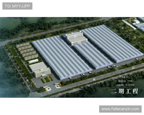 新濠国际集团在全球博彩行业中的战略布局与未来发展前景分析