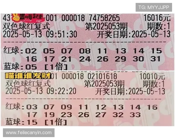 新葡京赌场官网：新手入门指南，快速掌握游戏规则与投注技巧