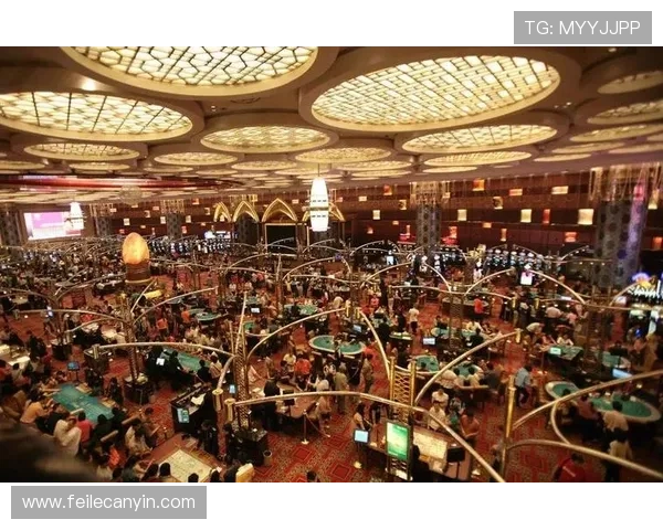 澳门娱乐场玩法全景解析，带你全面了解澳门各大娱乐场的特色玩法