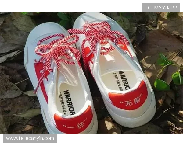 回力加盟官网帮助加盟商了解行业趋势与市场潜力实现稳步发展