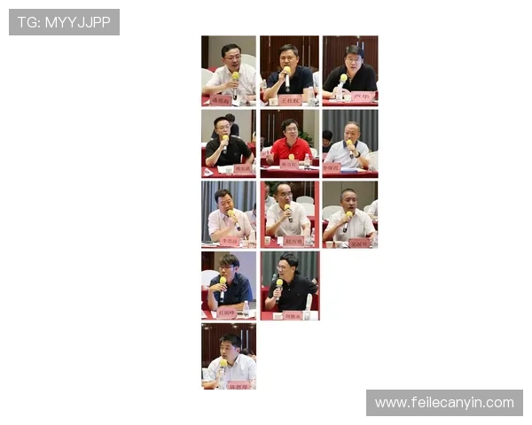 梅高美娱乐公司在泰国的最新发展动态与未来规划分析